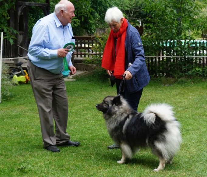 brigge-von-der-steinbruch-maut_bester-veteran-in-show