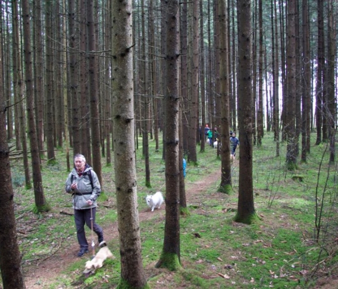 klubwanderung-stmichael05