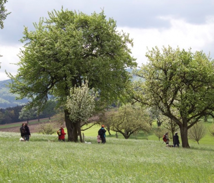 klubwanderung-stmichael17