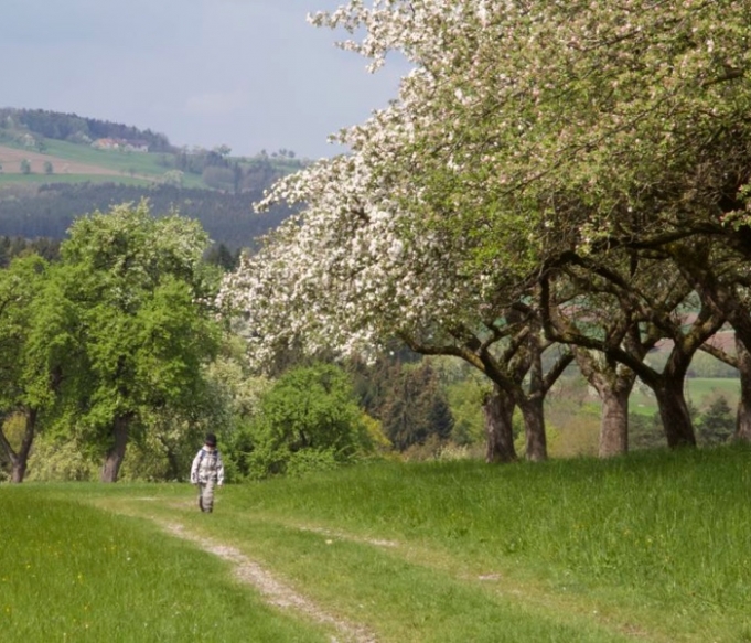 klubwanderung-stmichael18