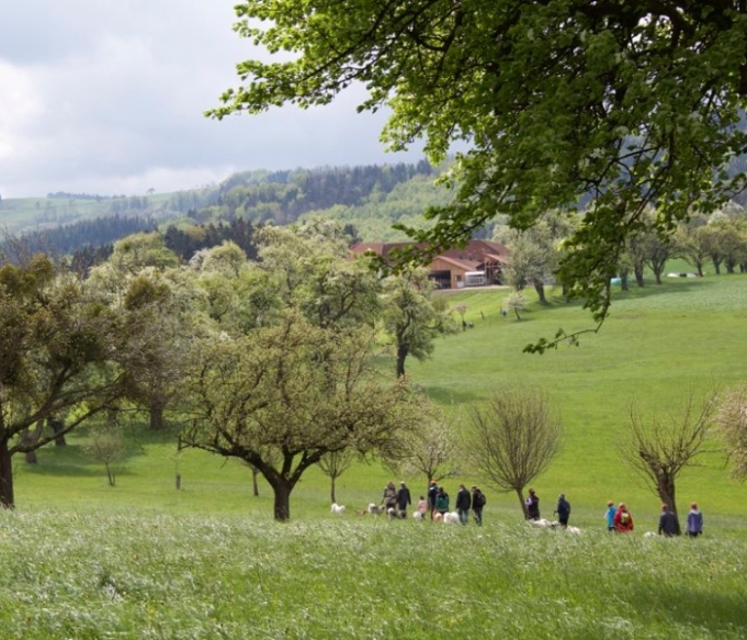 klubwanderung-stmichael19