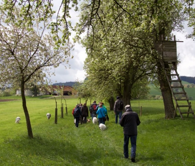 klubwanderung-stmichael21