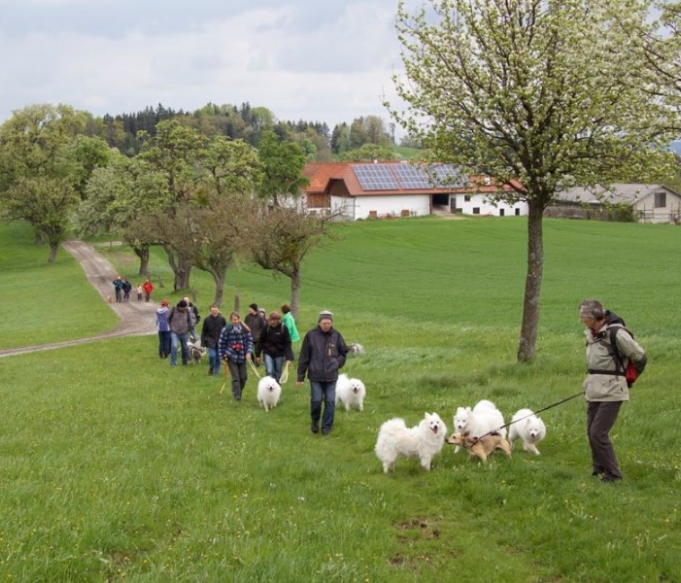 klubwanderung-stmichael23