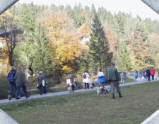 bluntautal25