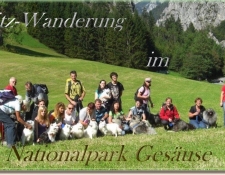 gruppenfoto-gesaeuse