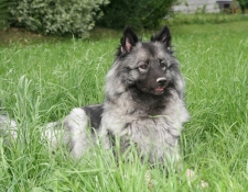 anja1