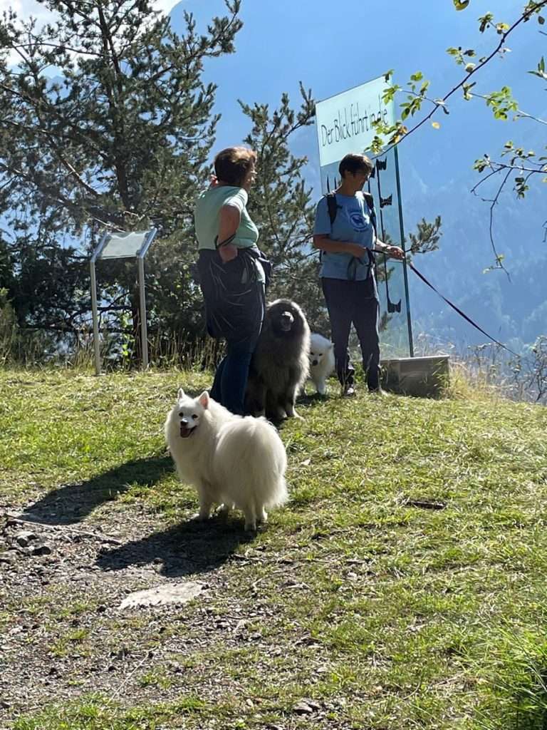 Spitzwanderung Tirol