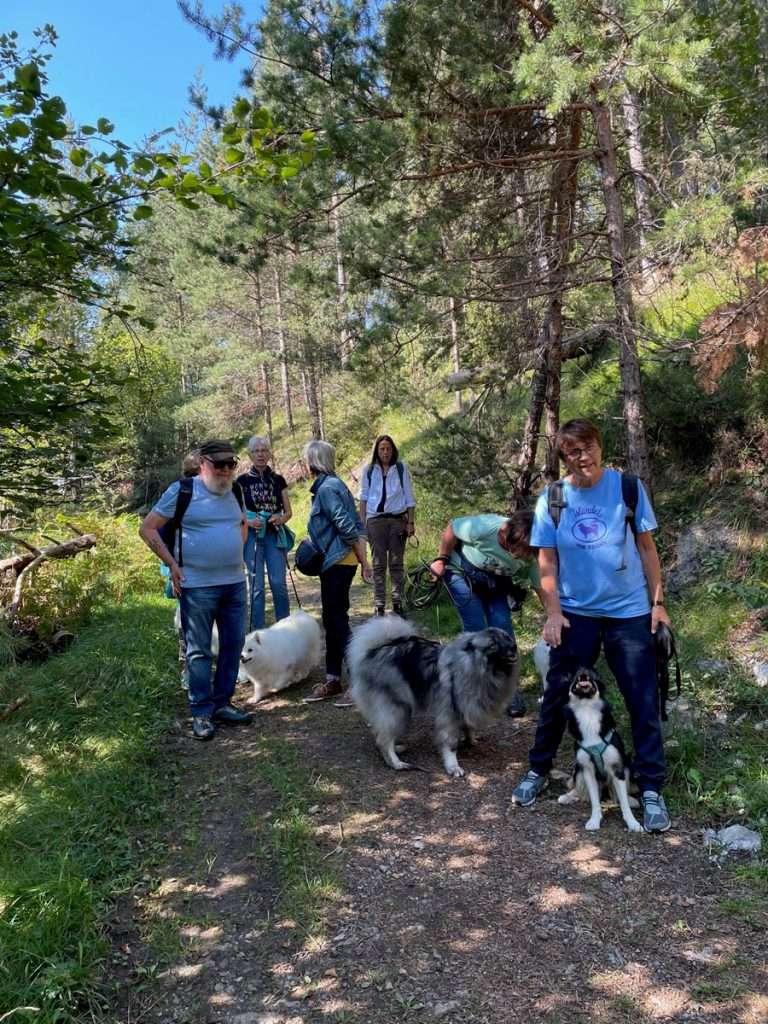 Spitzwanderung Tirol