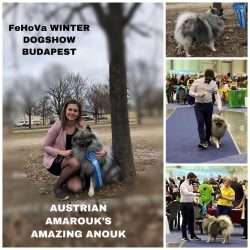 Austrian Amarouk’s Amazing Anouk