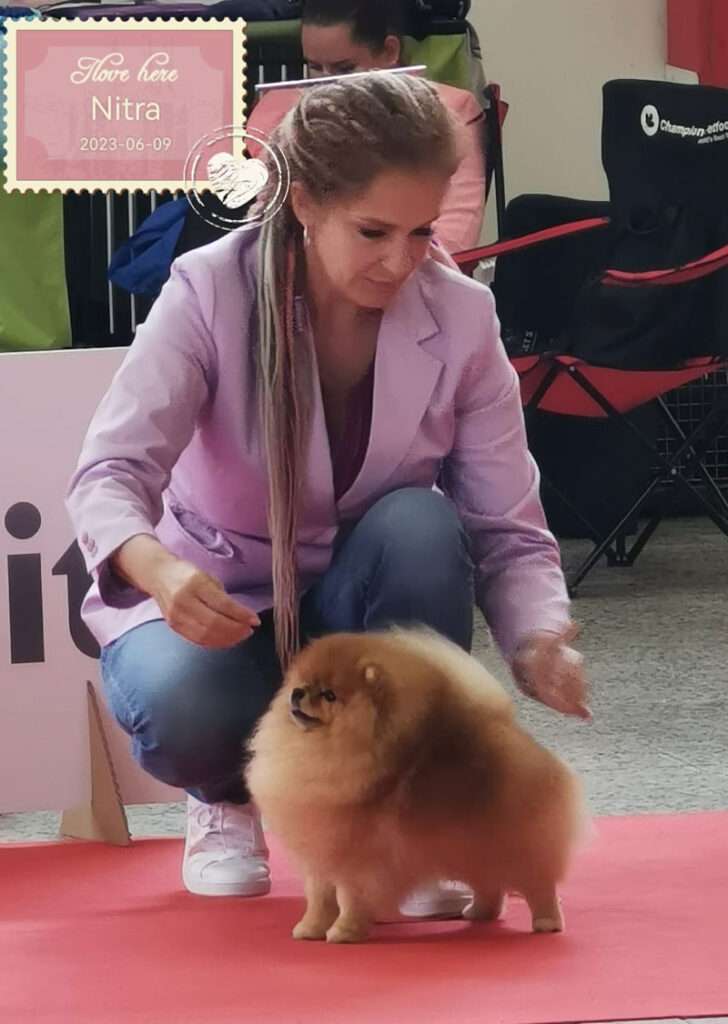 Dog Expo Nitra (SK) 09.-11.06.2023