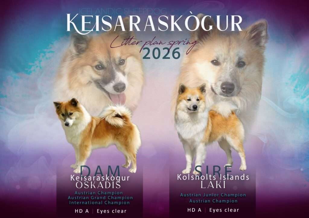 Zuchtstätte „Keisaraskógur“