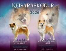  Deckmeldung Zuchtstätte „Keisaraskógur“